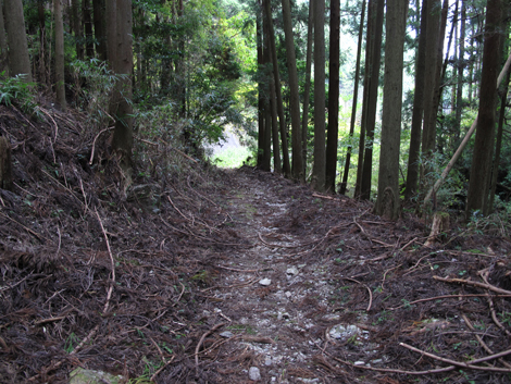 20141108hike (107)